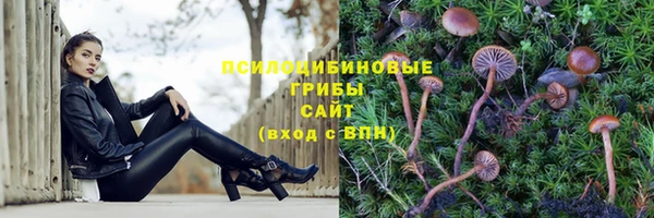 кокс Алзамай